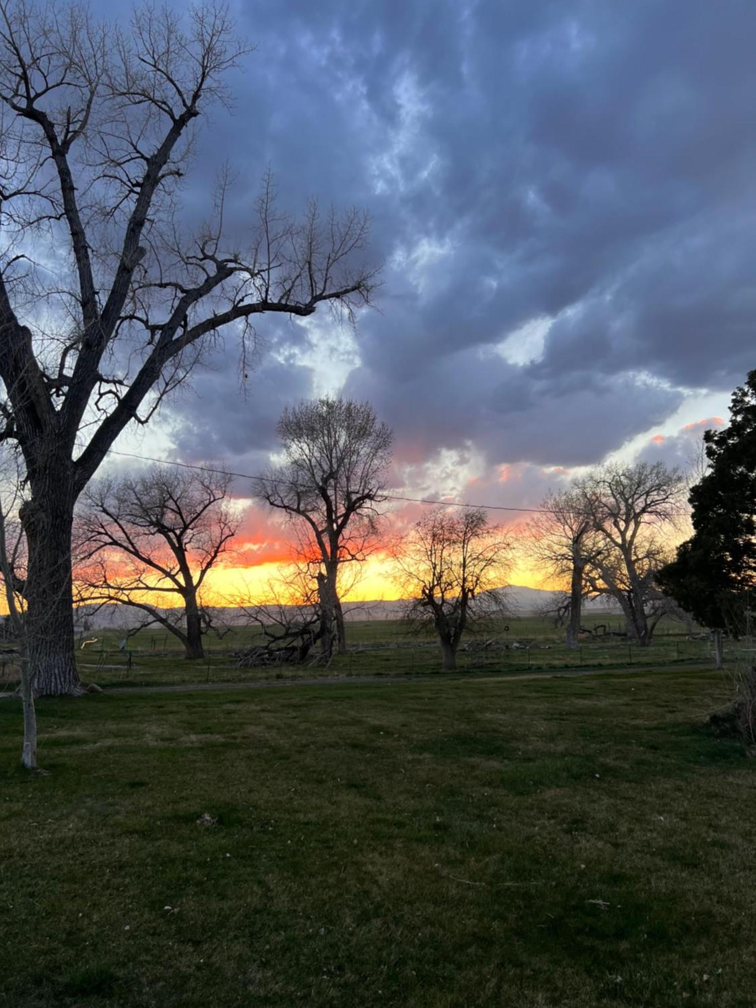 Hudson House Bed And Breakfast Wheatland Экстерьер фото